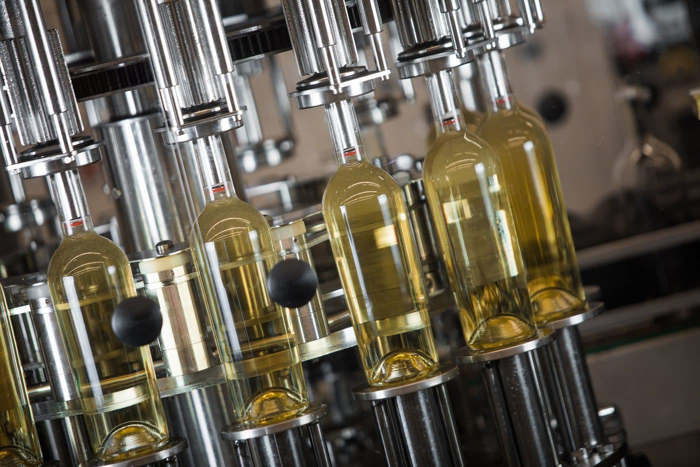 Botellas subiendo por los vástagos de una llenadora rotativa